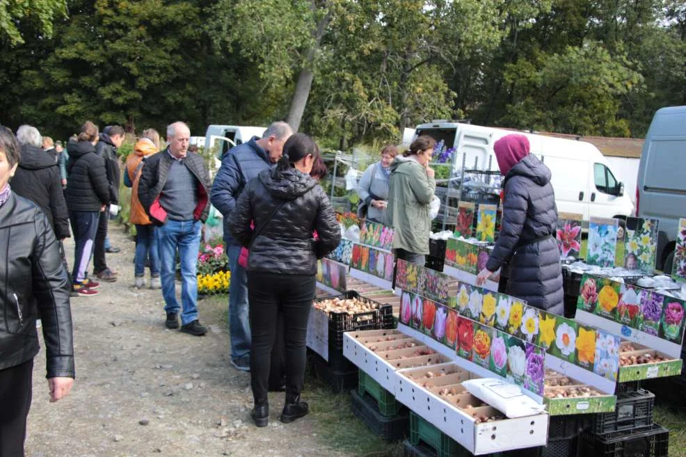 Wyróżnienie dla KGW w Witaszyczkach na targach w Marszewie