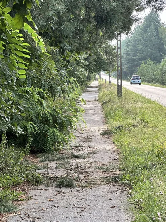 Zły stan porządku na ścieżce rowerowej przy drodze Wilkowyja - Tarce