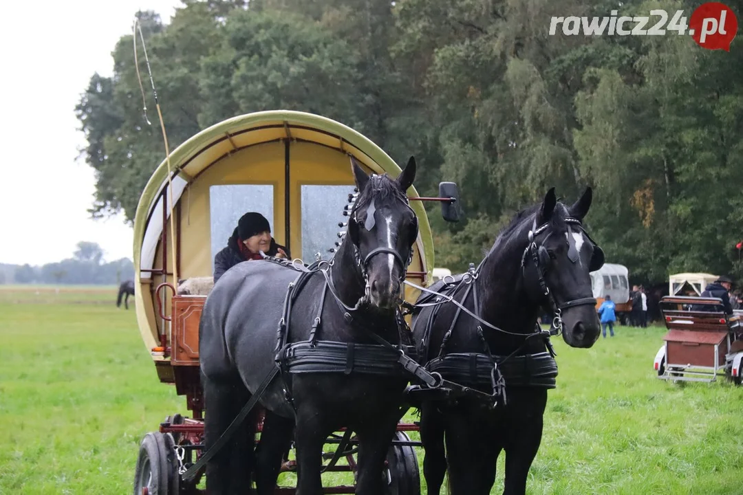 Hubertus w Pakosławiu