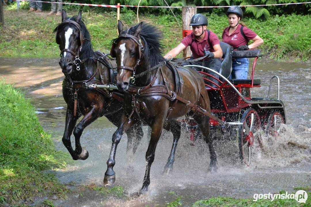 Rokosowo Horse Show 20224 - Konie i Powozy na Zamku Wielkopolskim w Rokosowie