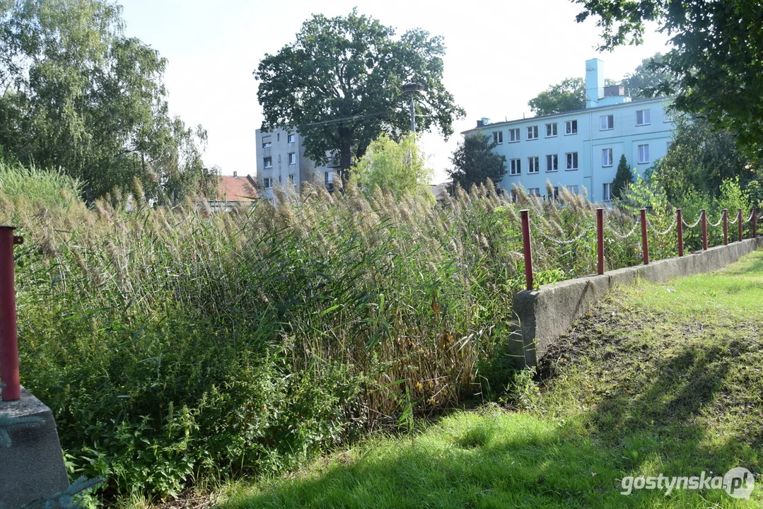 Rewitalizacja stawów w Pudliszkach, Ziemlinie, Posadowie i Chumiętkach