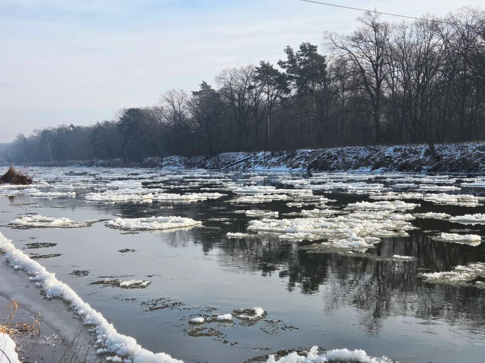 Przeprawa promowa w Dębnie zamknięta do odwołania - Zdjęcie główne