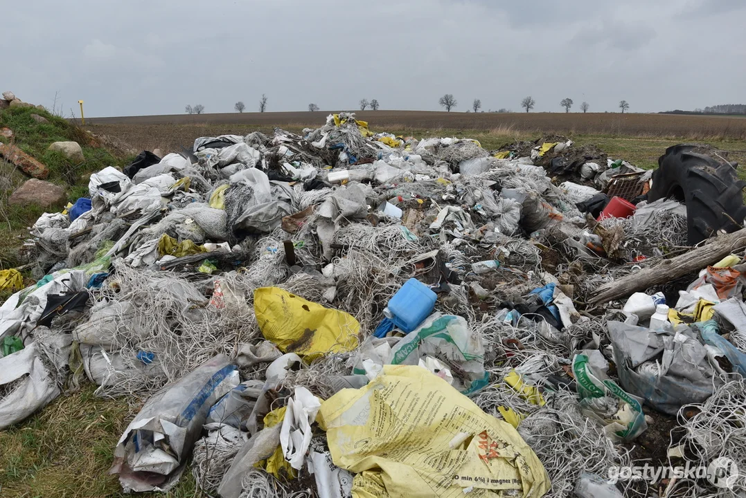 Ogromna hałda śmieci na polu w Żytowiecku