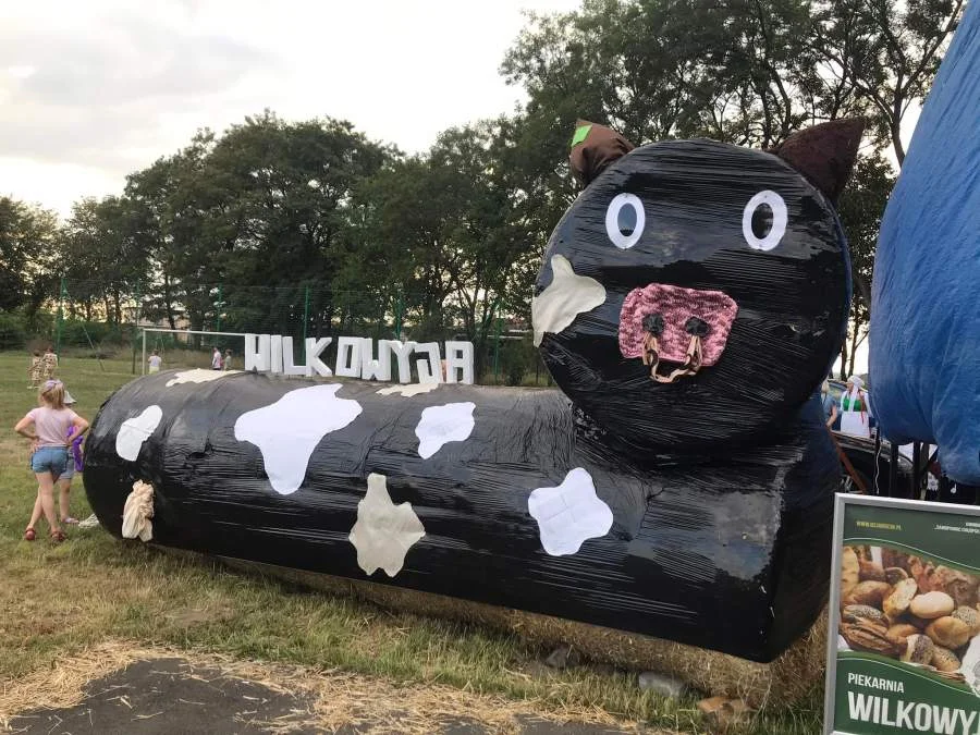 Dożynki w Wilkowyi. Jak było? [ZDJĘCIA] - Zdjęcie główne