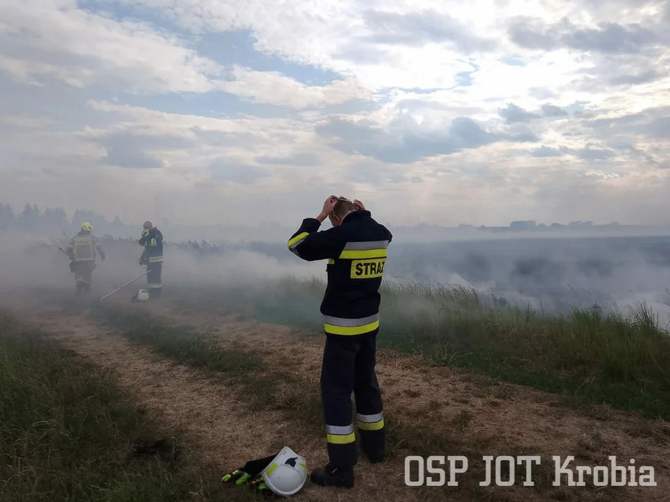 Pożar zboża w Poniecu i Kuczynie