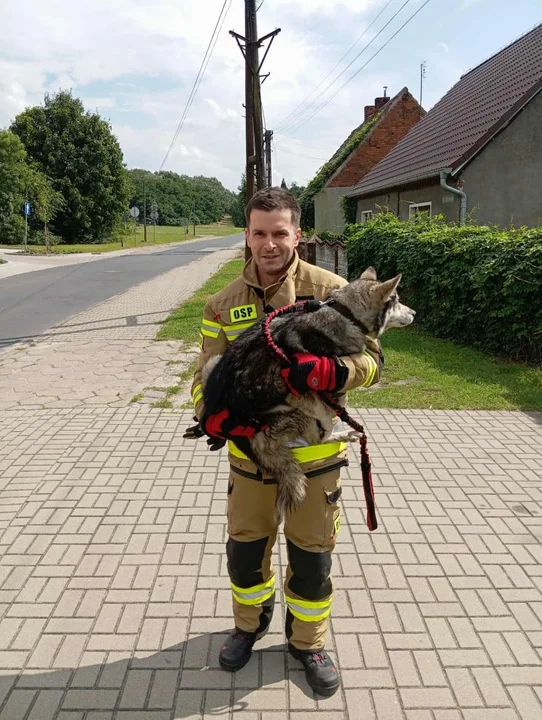 Nietypowa akcja strażaków z Łuszczanowa