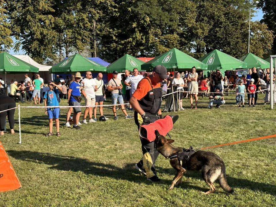 Pomoc dla Amelki Biskupskiej z Wilkowyi