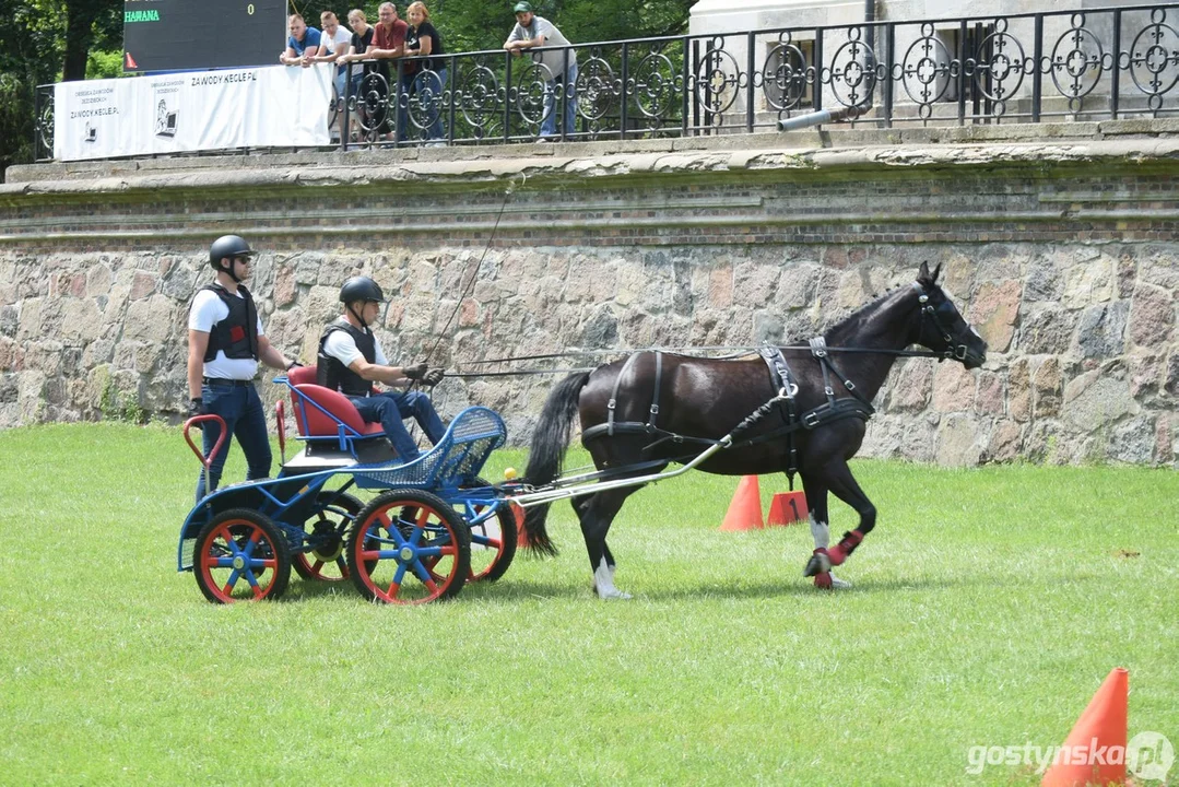 Rokosowo Horse Show 2024 - dzień pierwszy