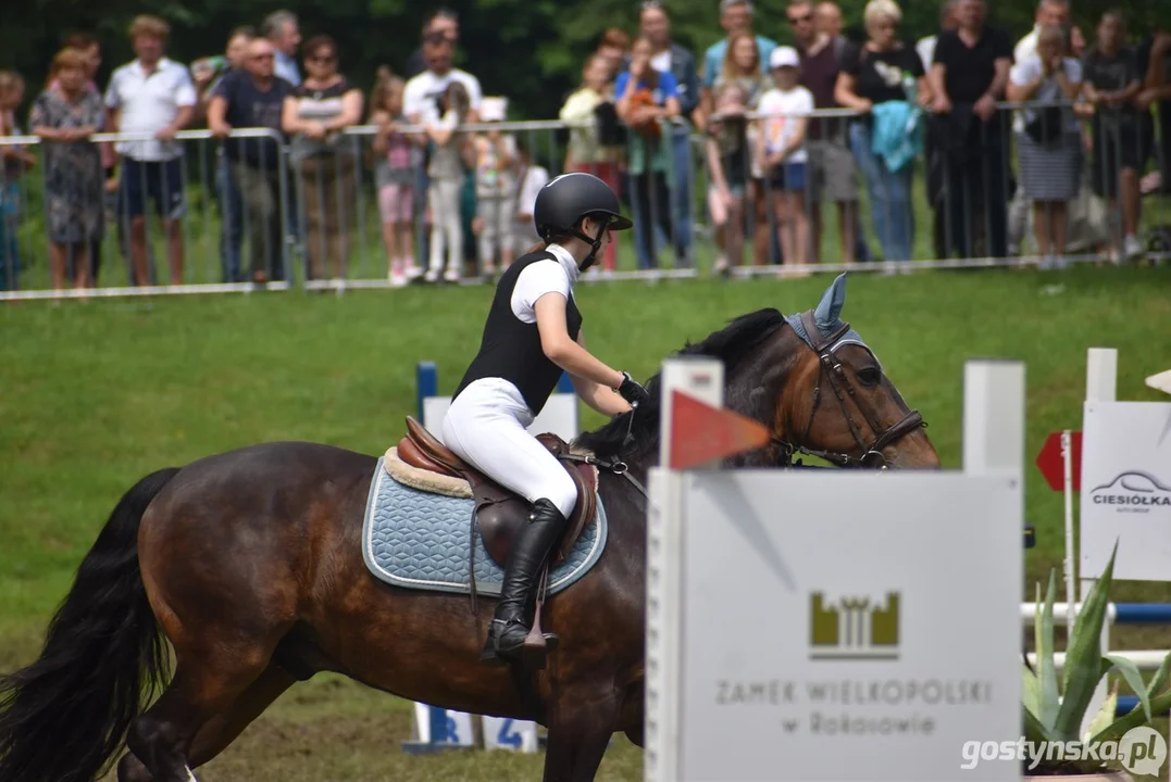 Rokosowo Horse Show - dzień drugi