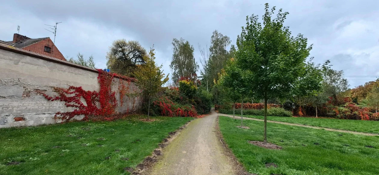 Park w Klęce to prawdziwa perełka. Warto zajrzeć tam właśnie teraz
