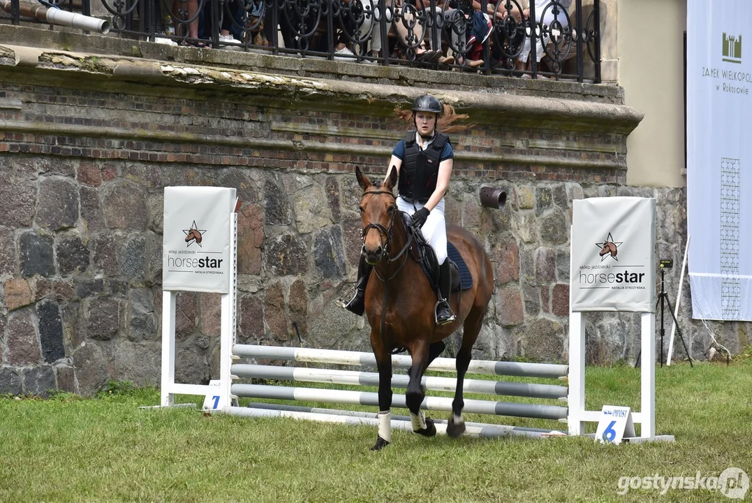 Rokosowo Horse Show - dzień drugi