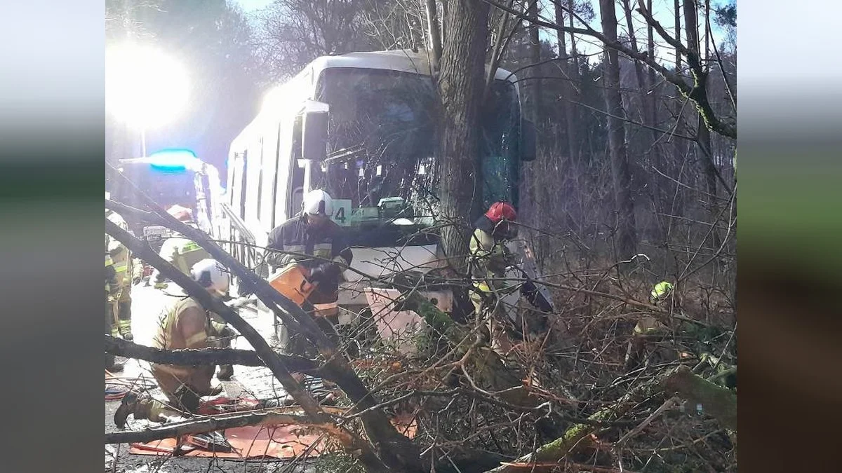 Uderzył autobusem w drzewo. Rannemu kierowcy pomocy udzielił strażak z gminy Jutrosin [ZDJĘCIA] - Zdjęcie główne