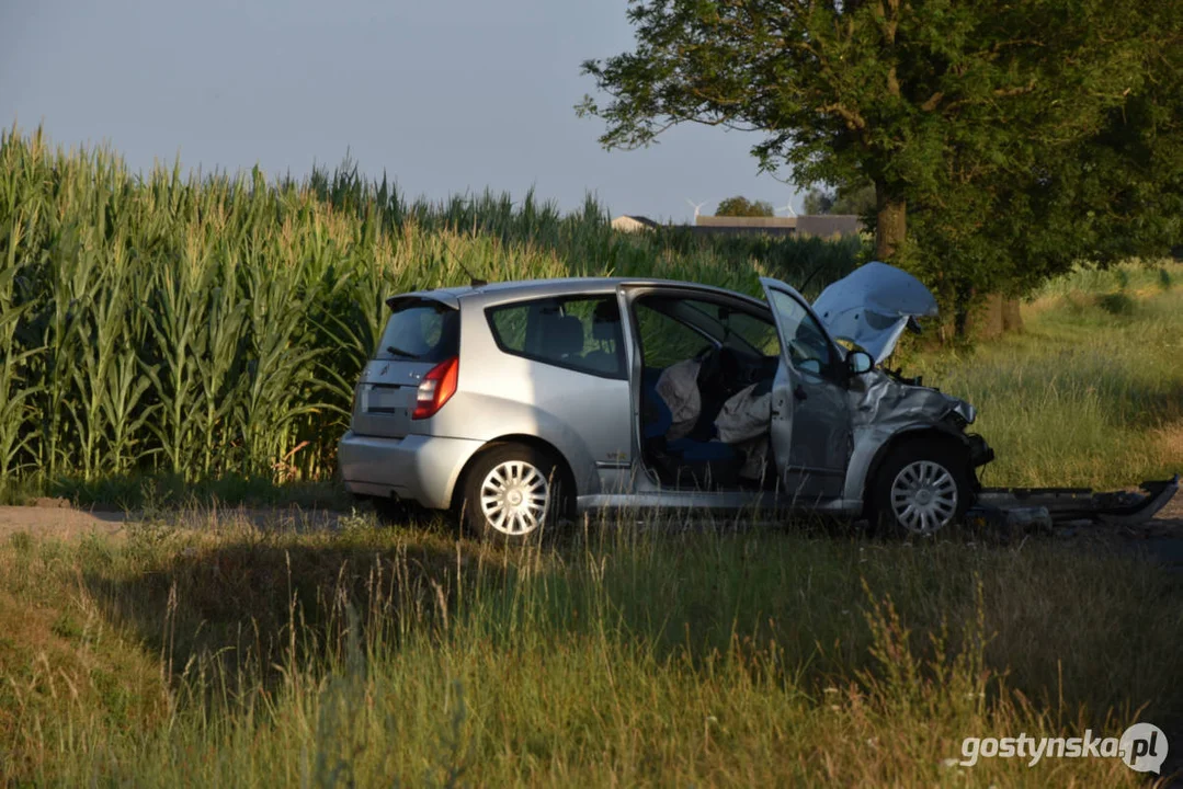 Wypadek na drodze za Pogorzelą