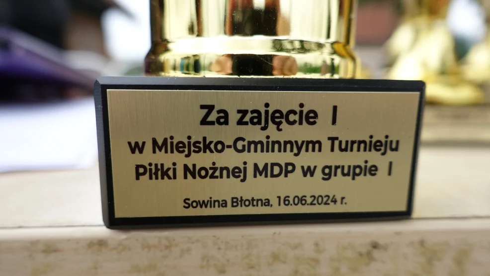 Turniej MDP z gminy Pleszew w Sowinie Błotnej