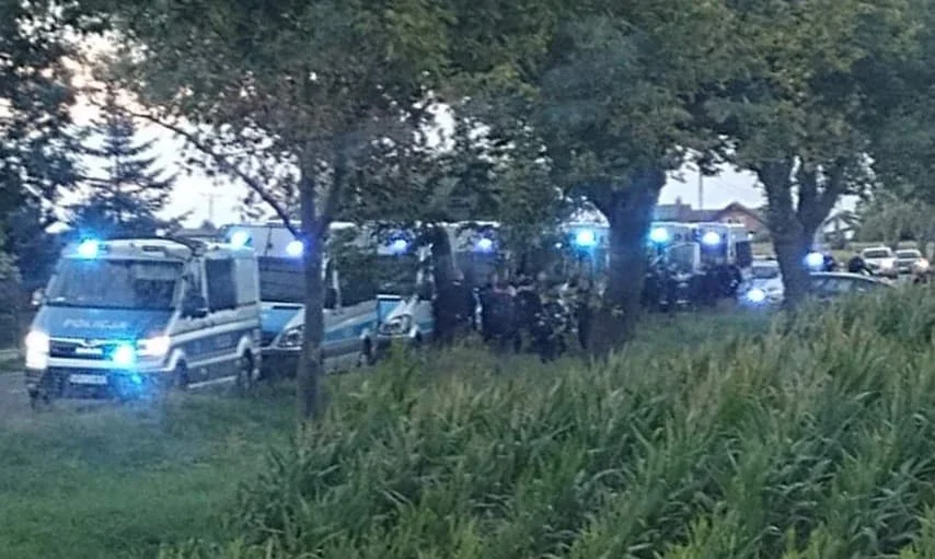 Kierowca nie zatrzymał się do kontroli pod Jarocinem. Uciekł w kukurydzę. Akcja policji