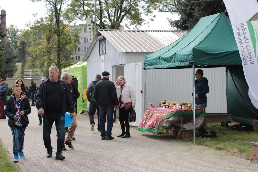 Wyróżnienie dla KGW w Witaszyczkach na targach w Marszewie