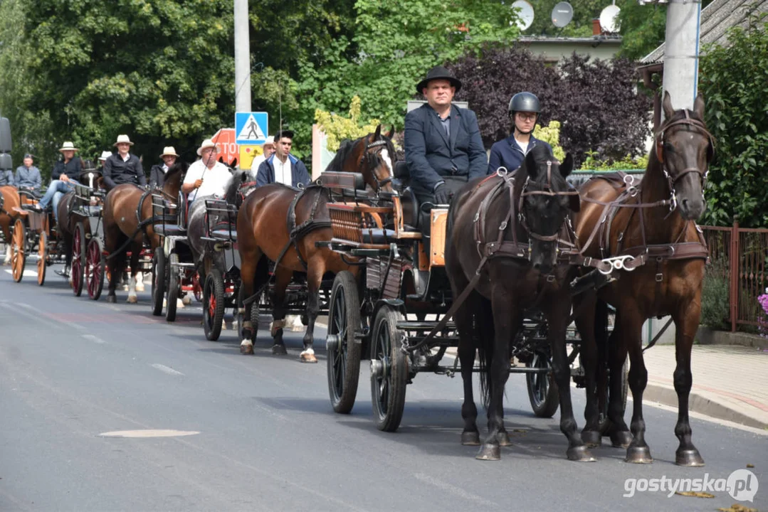 Jubileuszowa, bo XV Regionalna Wystawa Zwierząt Hodowlanych w Pudliszkach