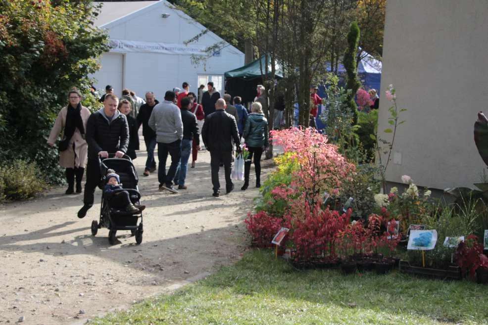 Wyróżnienie dla KGW w Witaszyczkach na targach w Marszewie