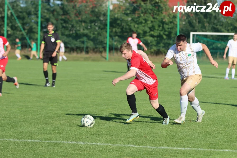 Awdaniec Pakosław - Wisła Borek Wielkopolski 2:5