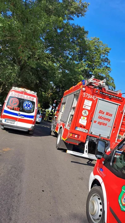 Wypadek na trasie Zakrzewo - Annopol