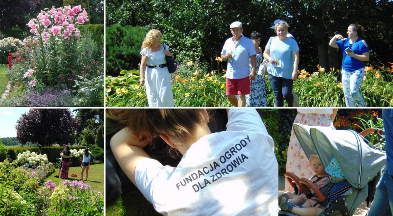 Piknik wśród kwiatów w Chwałkowie Kościelnym [ZOBACZ ZDJĘCIA] - Zdjęcie główne