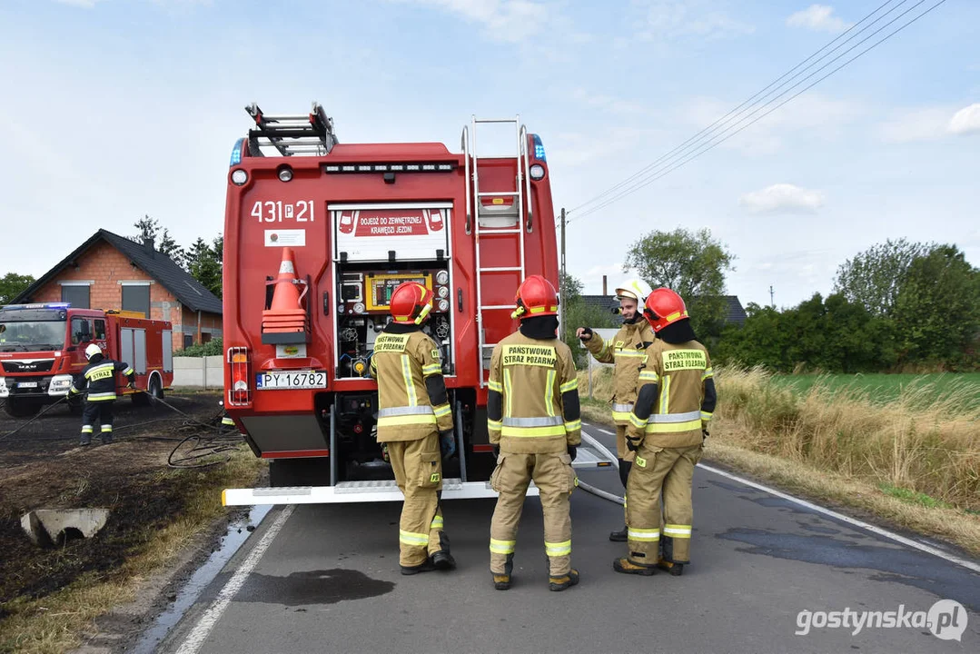 Pożar ścierniska w Daleszynie