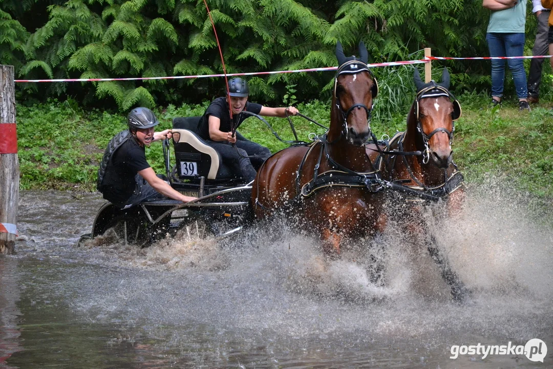 Rokosowo Horse Show 20224 - Konie i Powozy na Zamku Wielkopolskim w Rokosowie