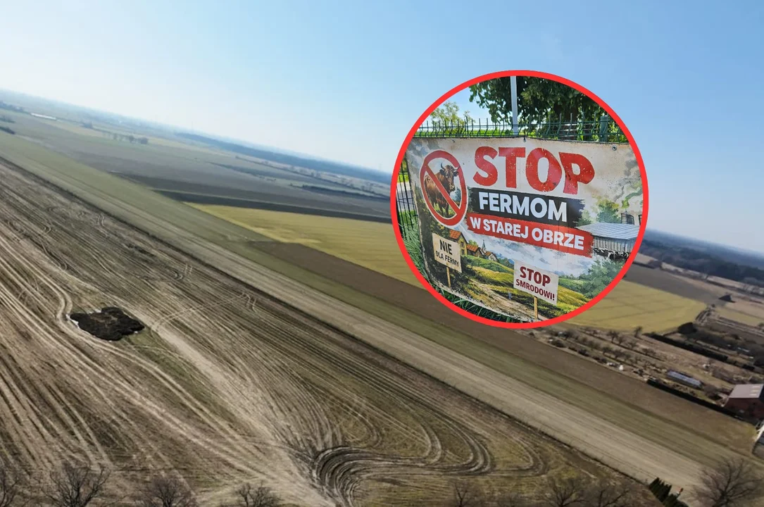 Co z planowaną fermą bydła w Starej Obrze?