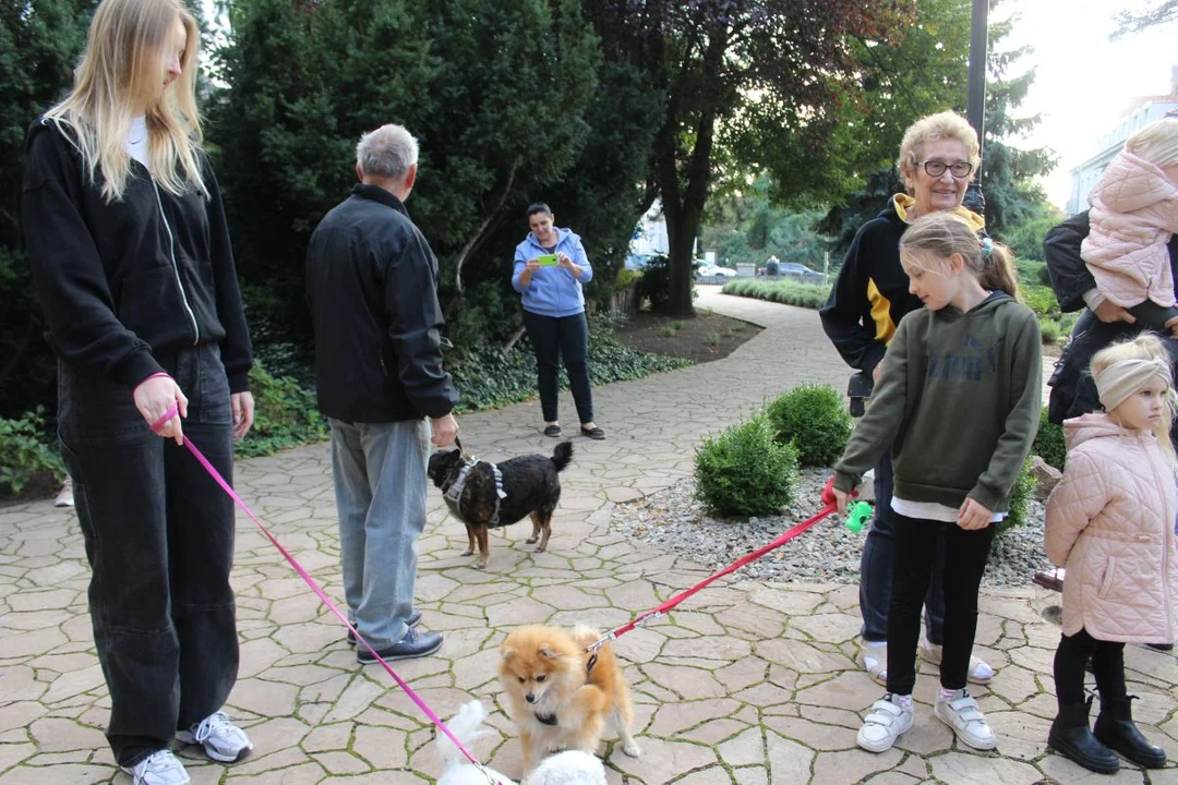 U franciszkanów w Jarocinie z okazji odpustu błogosławiono zwierzęta