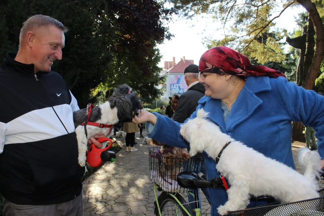 Franciszkanie w Jarocinie. Odpust św. Franciszka z Asyżu