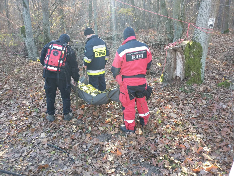 Gmina Krotoszyn. Ćwiczenia w lesie