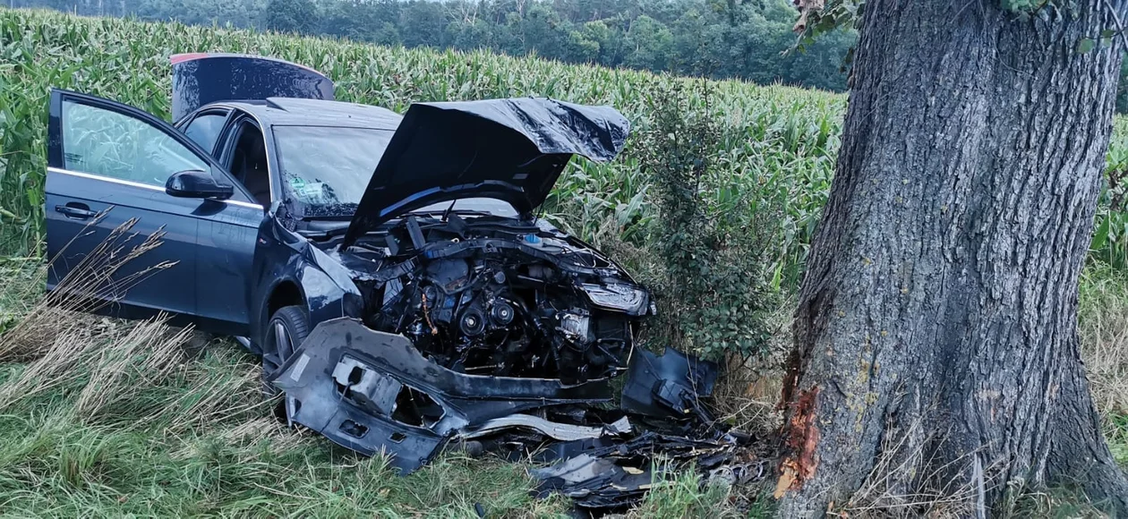 Zderzenie samochodu osobowego z drzewem na trasie Skoraszewice - Wilkonice