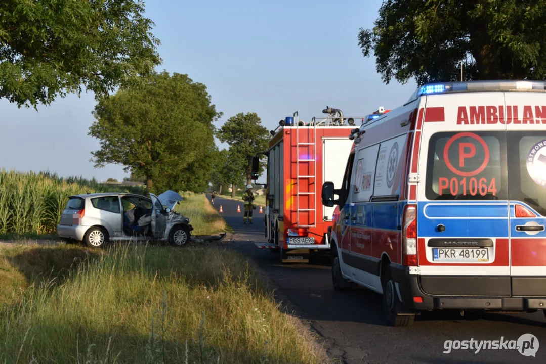 Wypadek na drodze za Pogorzelą