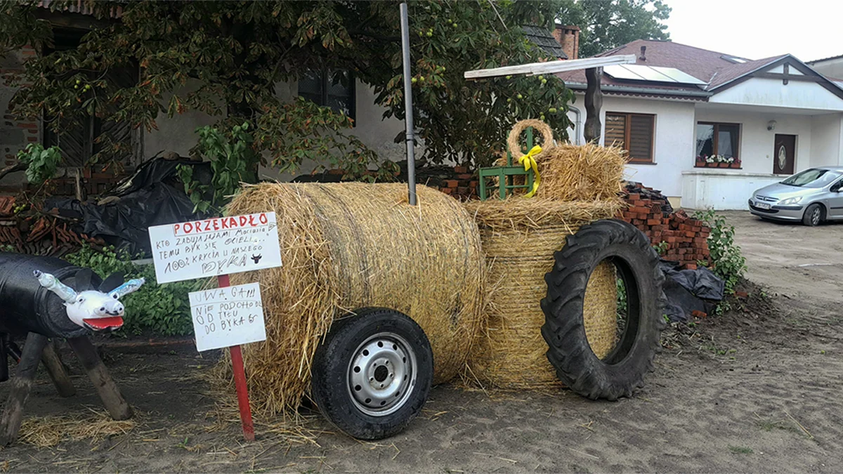 Dożynkowe WITACZE w Twardowie