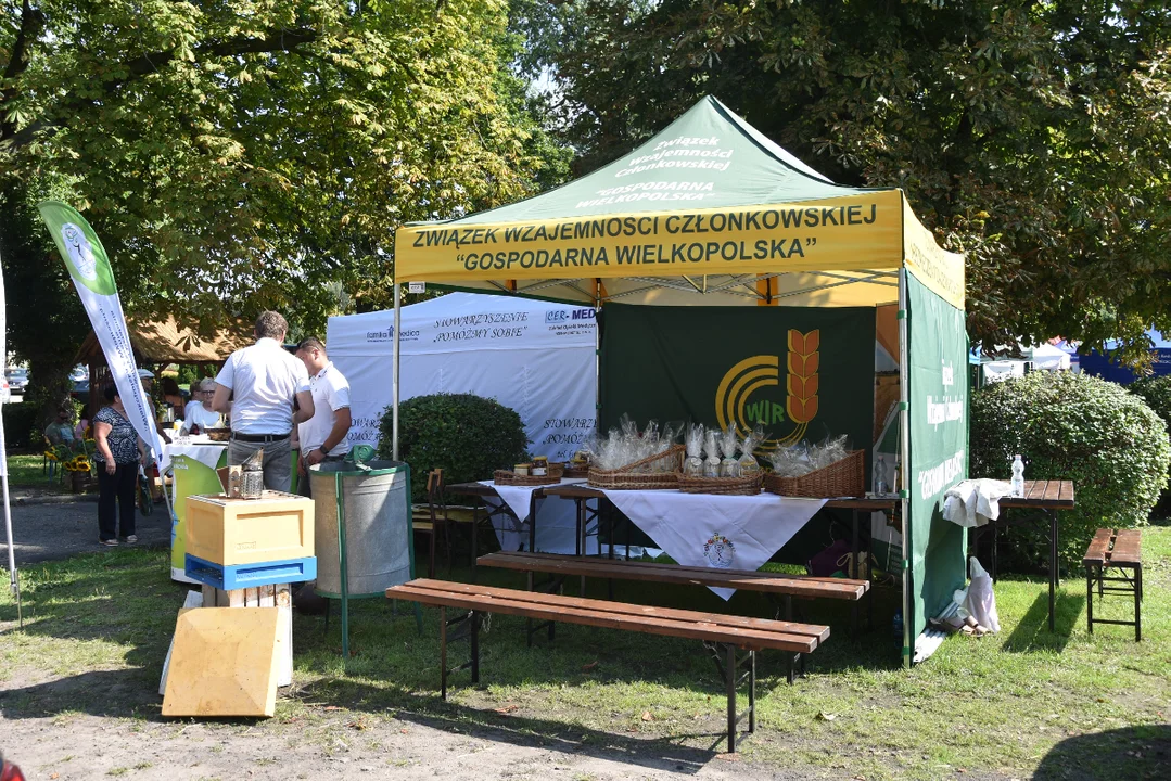 Dożynki powiatowe w Koźminie Wielkopolskim