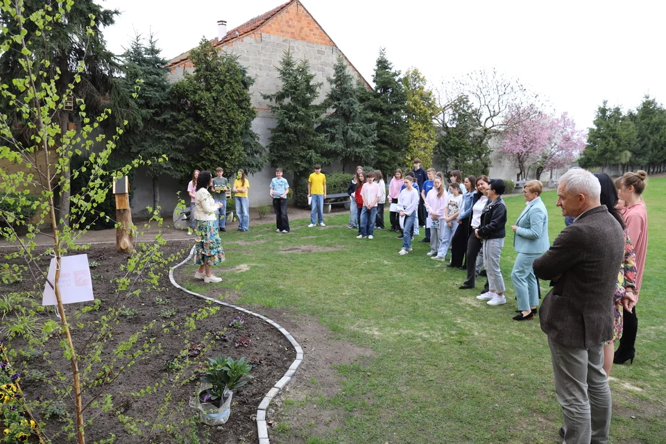 Ogród deszczowy w Chwaliszewie