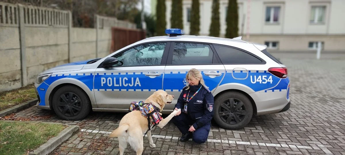 32. Finał WOŚP na Ziemi Jarocińskiej