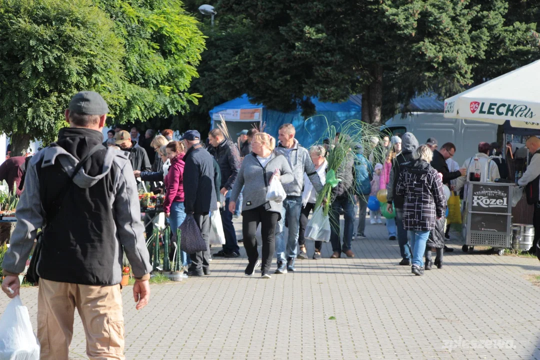 Jesienne Targi Rolno-Ogrodnicze AGROMARSZ w Marszewie już w ten weekend - Zdjęcie główne