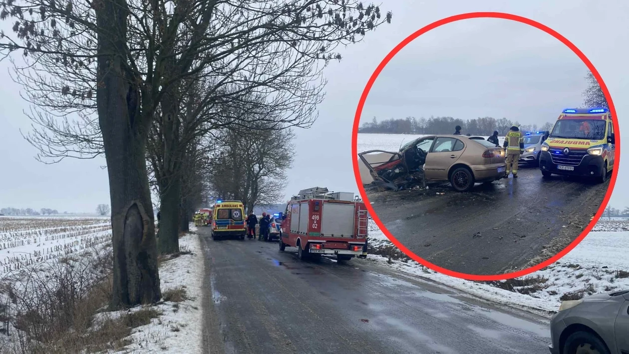 Starkówiec. Samochód uderzył w drzewo. Kierująca trafiła do szpitala [ZDJĘCIA] - Zdjęcie główne