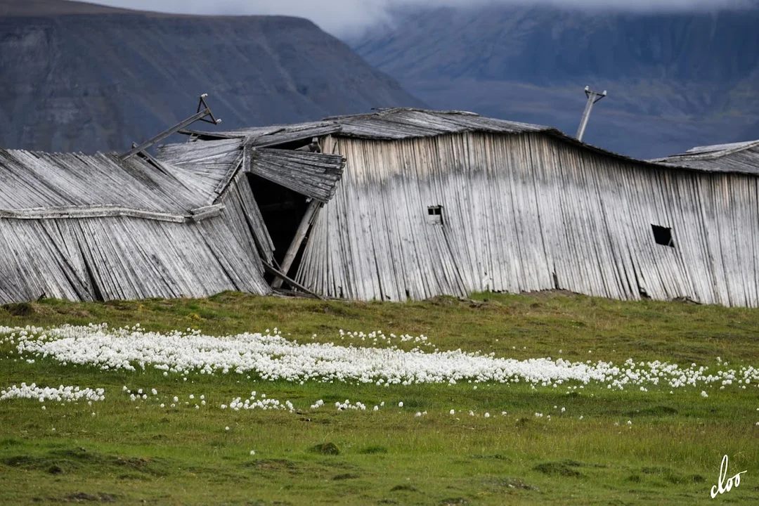 Wyprawa pleszewian na Spitsbergen