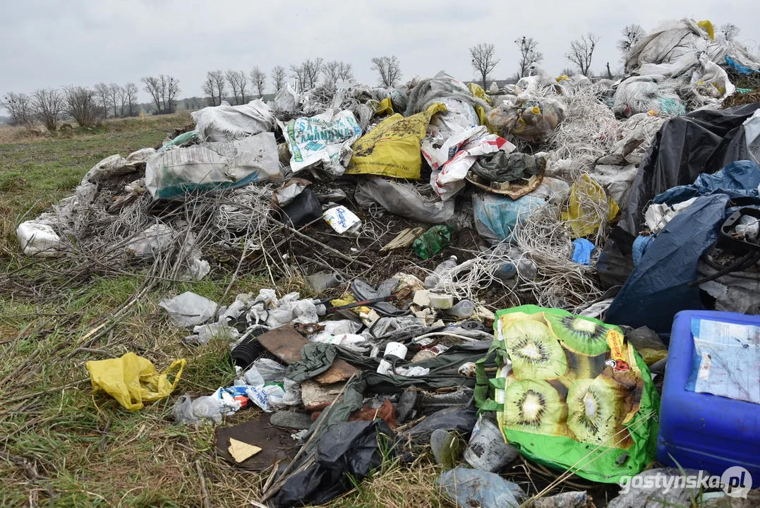 Ogromna hałda śmieci na polu w Żytowiecku