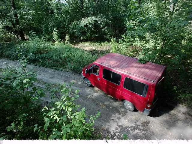 Pod Tarchalinem chcieli ukraść drewno z lasu. Zatrzymali ich dzielnicowi