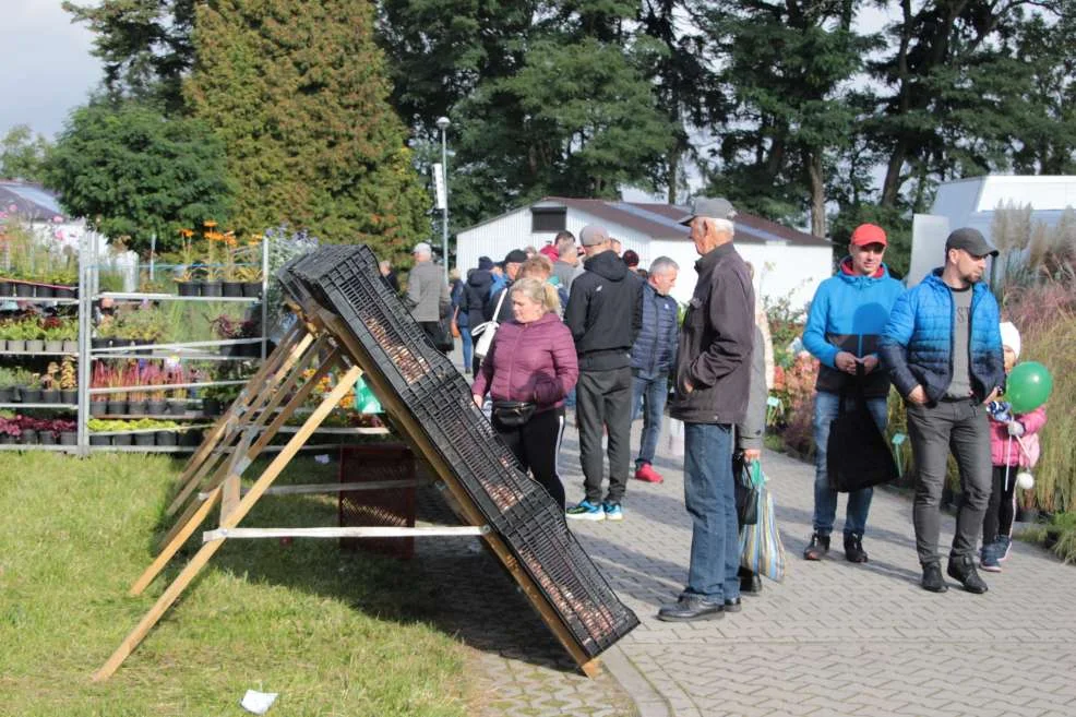 Wyróżnienie dla KGW w Witaszyczkach na targach w Marszewie