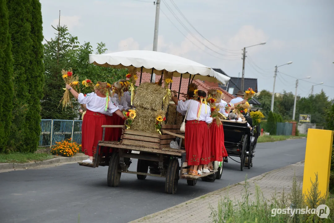 Dożynki w Brzeziu 2023