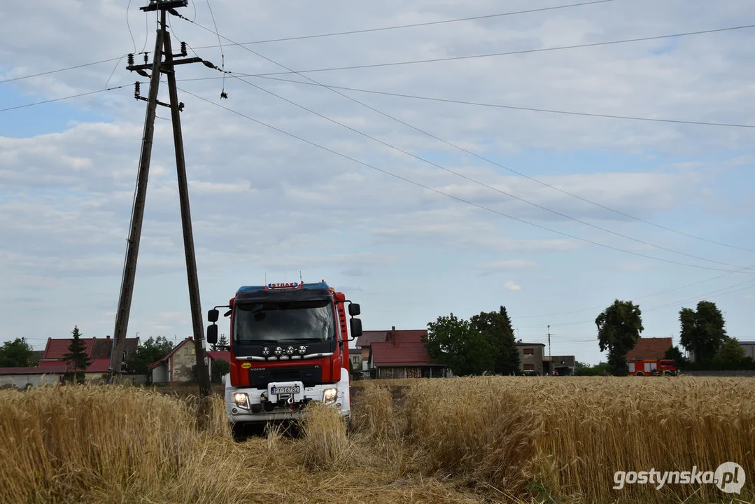 Pożar zboża w Poniecu i Kuczynie