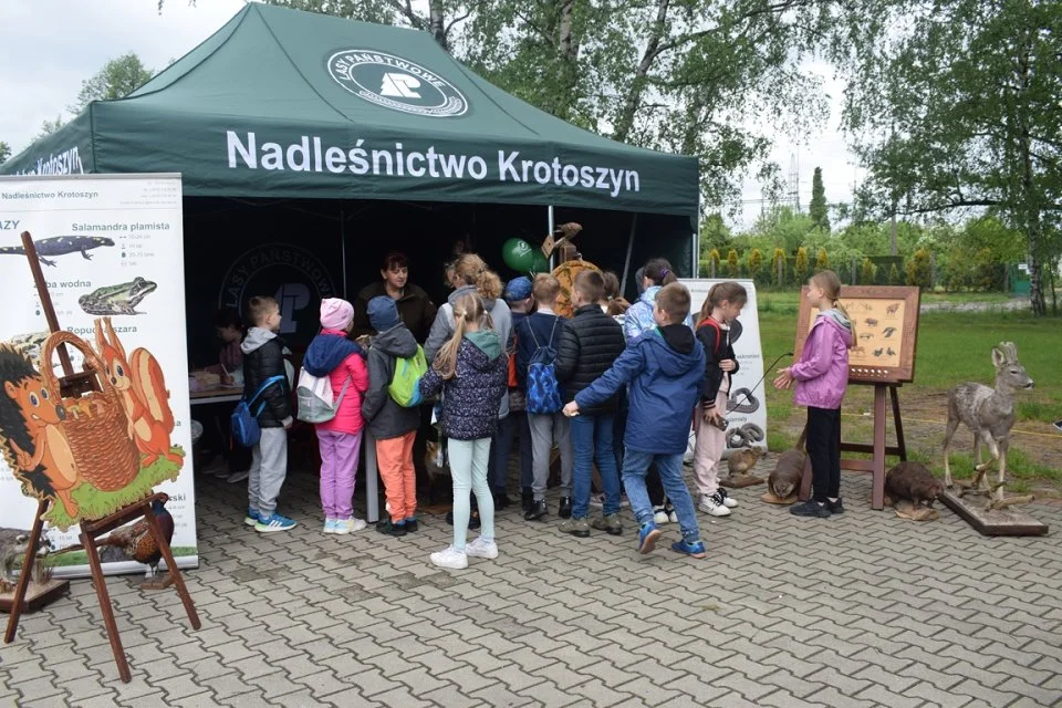 Piknik ekologiczny w Krotoszynie