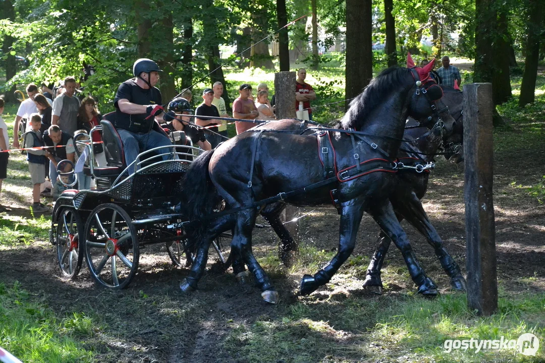 Rokosowo Horse Show 20224 - Konie i Powozy na Zamku Wielkopolskim w Rokosowie