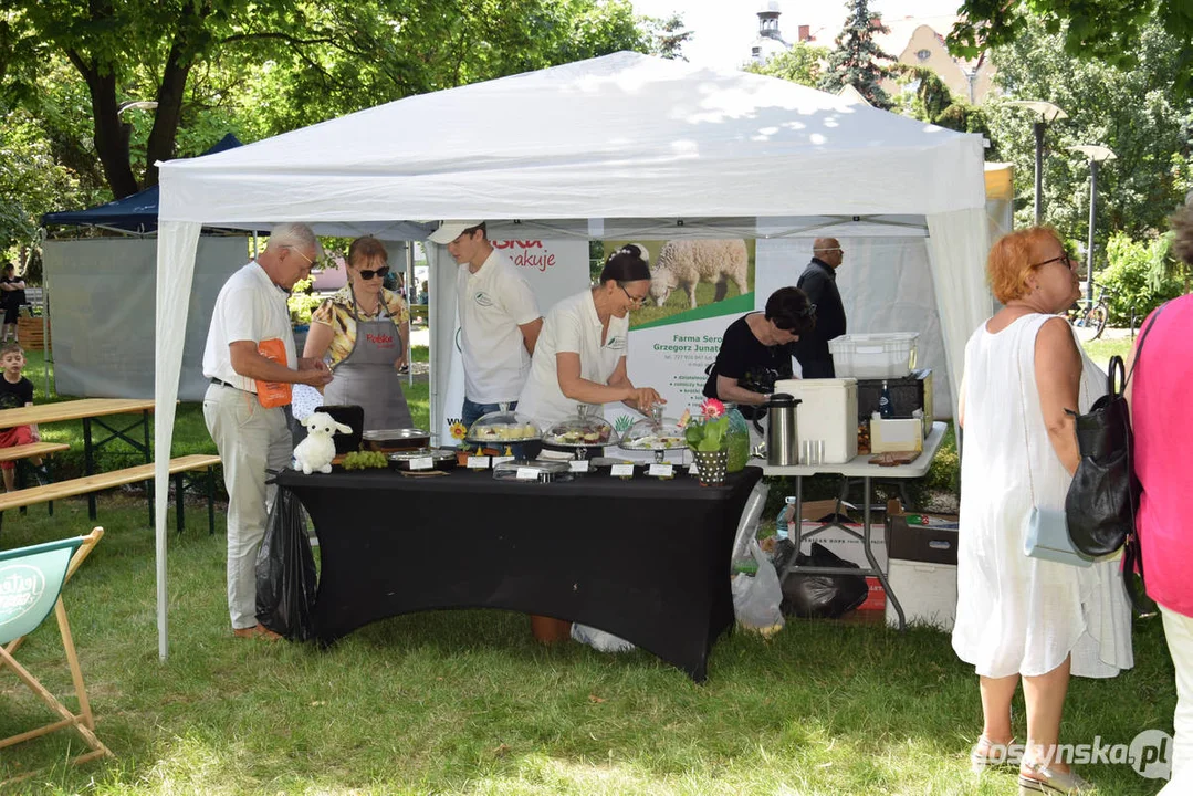 II Kulturalny Piknik na Plantach w Gostyniu