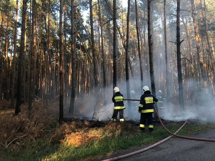 Pożar w miejscowości Kolonia Obory