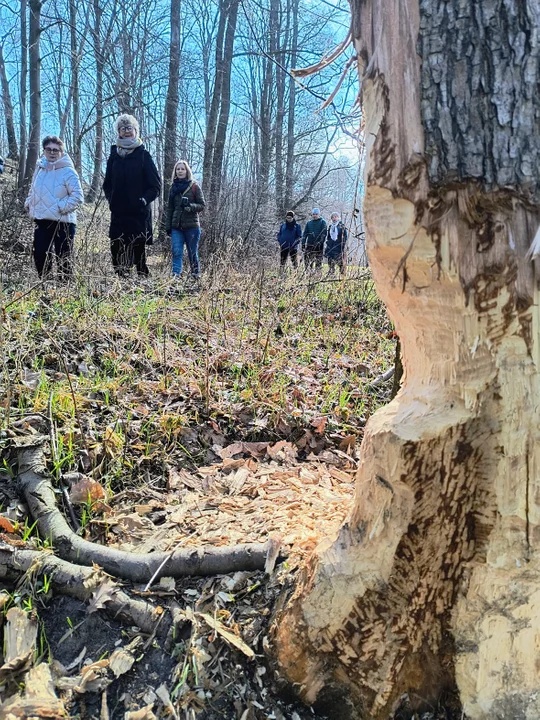 Rajd z Nadleśnictwem i PTTK Jarocin